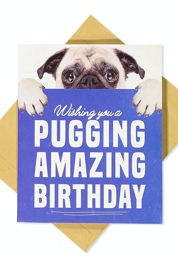 Free Printable Pug Birthday Cards