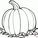 Pumpkin Coloring Page | Free Printable Coloring Pages   Free Printable Pumpkin Coloring Pages