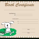 Sample Dog Birth Certificate   How To Create A Dog Birth Certificate   Free Printable Birth Certificates For Puppies