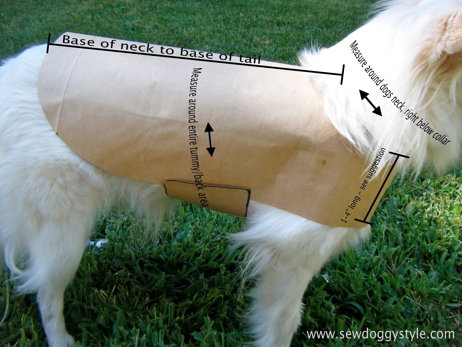 Sew Doggystyle: Diy Pet Coat Pattern - Free Printable Dog Coat Sewing Patterns