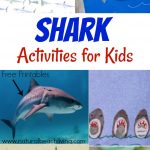 Shark Activities For Kids   Free Shark Printables   Natural Beach Living   Free Shark Printables