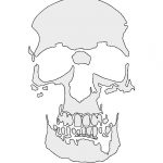 Skull Stencils Printable Human Skull Stencil | Skulls | Skull   Skull Stencils Free Printable