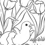 Spring Coloring Pages, Printable Spring Coloring Pages, Free Spring   Free Printable Spring Coloring Pages For Adults