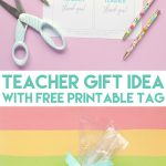 Stupendous Teacher Appreciation Gift Idea With Free Printable Tag   Free Printable Teacher Appreciation Gift Tags