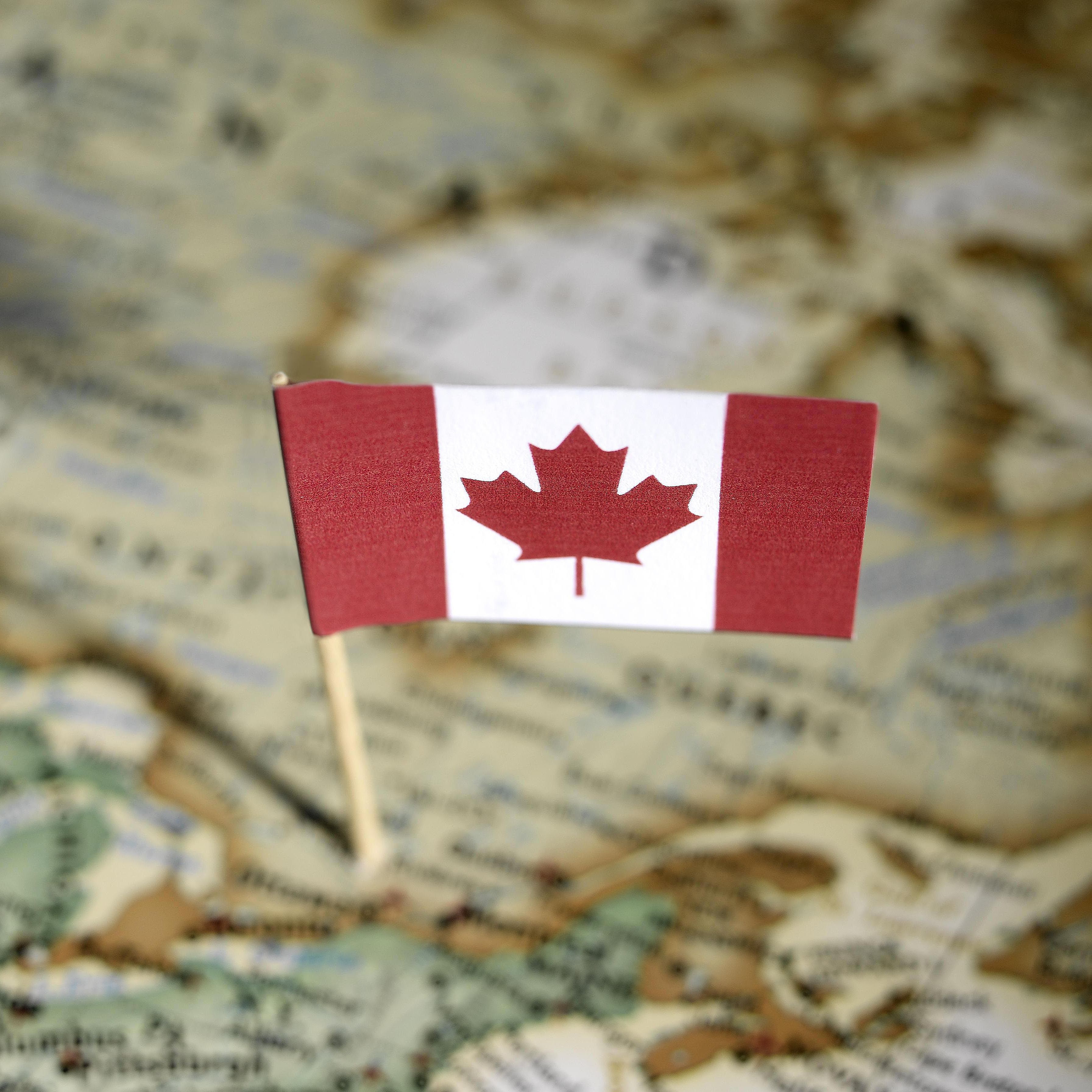 Канада проблемы страны. Иммигранты в Канаде. Иммиграция в Канаду. ПМЖ Канада. История Канады.