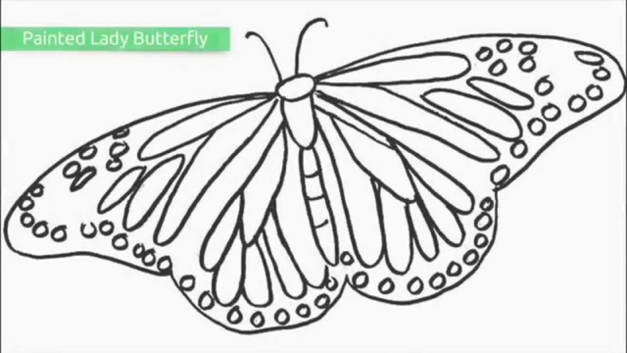 Top 25 Free Printable Butterfly Coloring Pages - Free Printable Butterfly