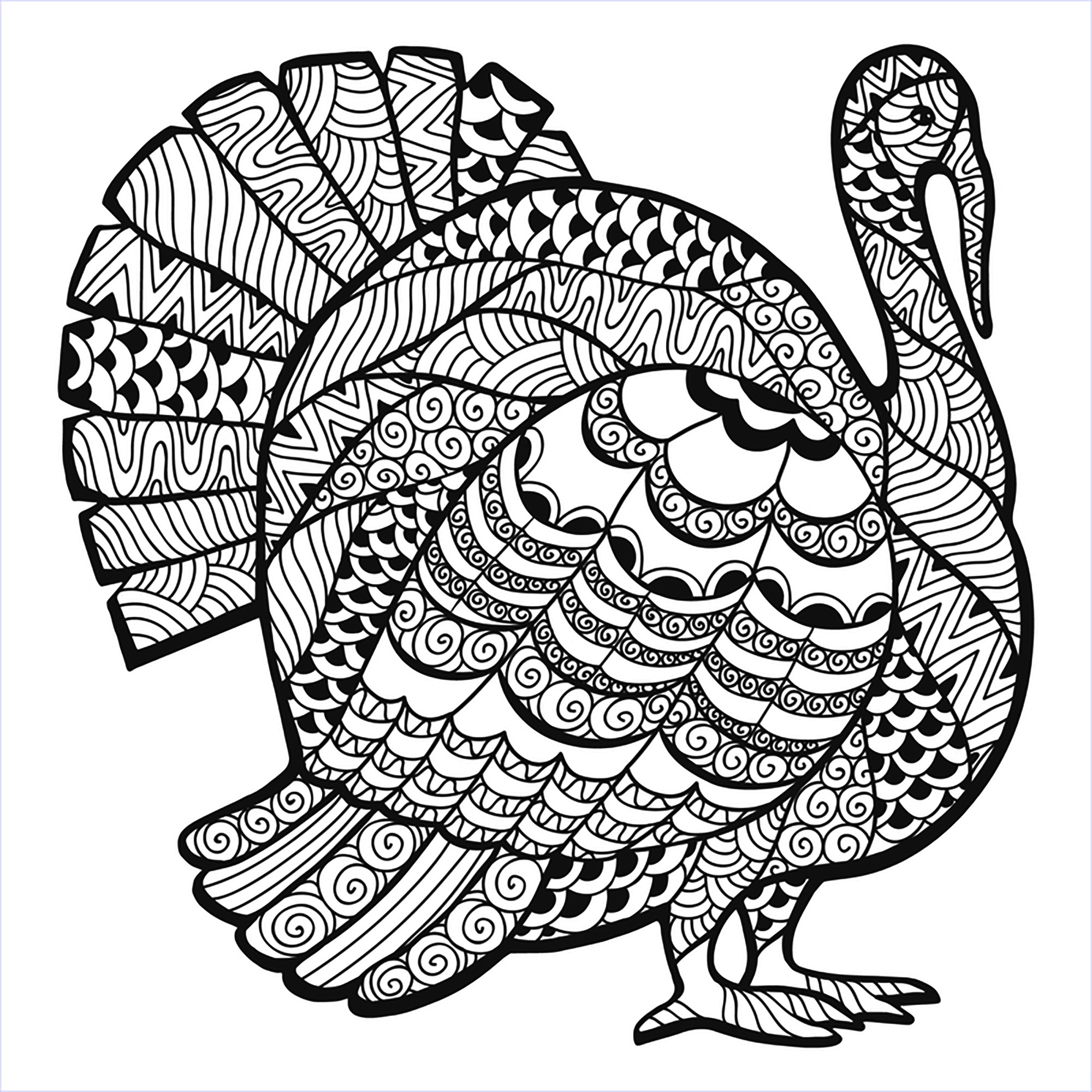 Free Printable Turkey Coloring Pages For Kids Cool2Bkids Free