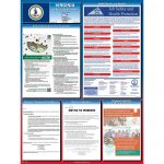 Virginia Labor Law Posters For 2019 | Poster Compliance Center   Free Printable Osha Safety Posters