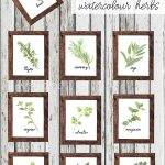 Watercolour Herb Free Kitchen Printables {In 10 Designs!} | The   Free Printable Pictures Of Herbs