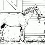 Woman And Mare Horse Coloring Page | Free Printable Coloring Pages   Free Printable Realistic Horse Coloring Pages