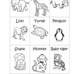 Zoo Animals   Big Or Small? Worksheet   Free Esl Printable   Free Printable Zoo Worksheets