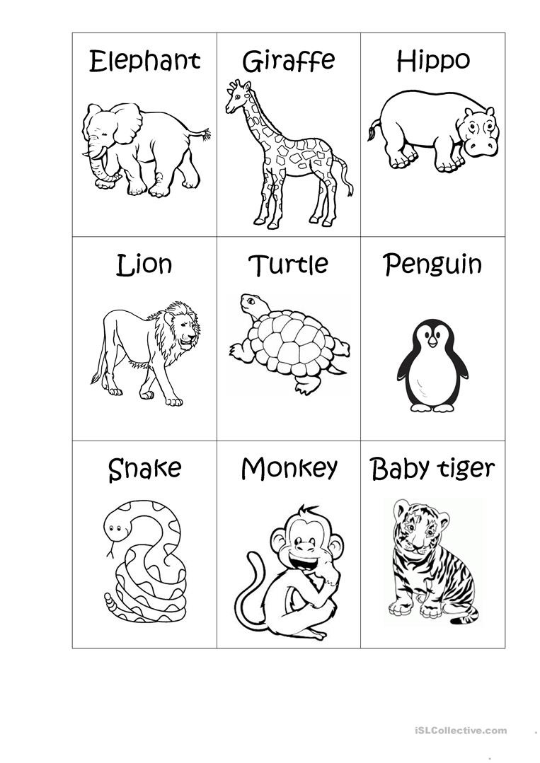 Zoo Animals - Big Or Small? Worksheet - Free Esl Printable - Free Printable Zoo Worksheets