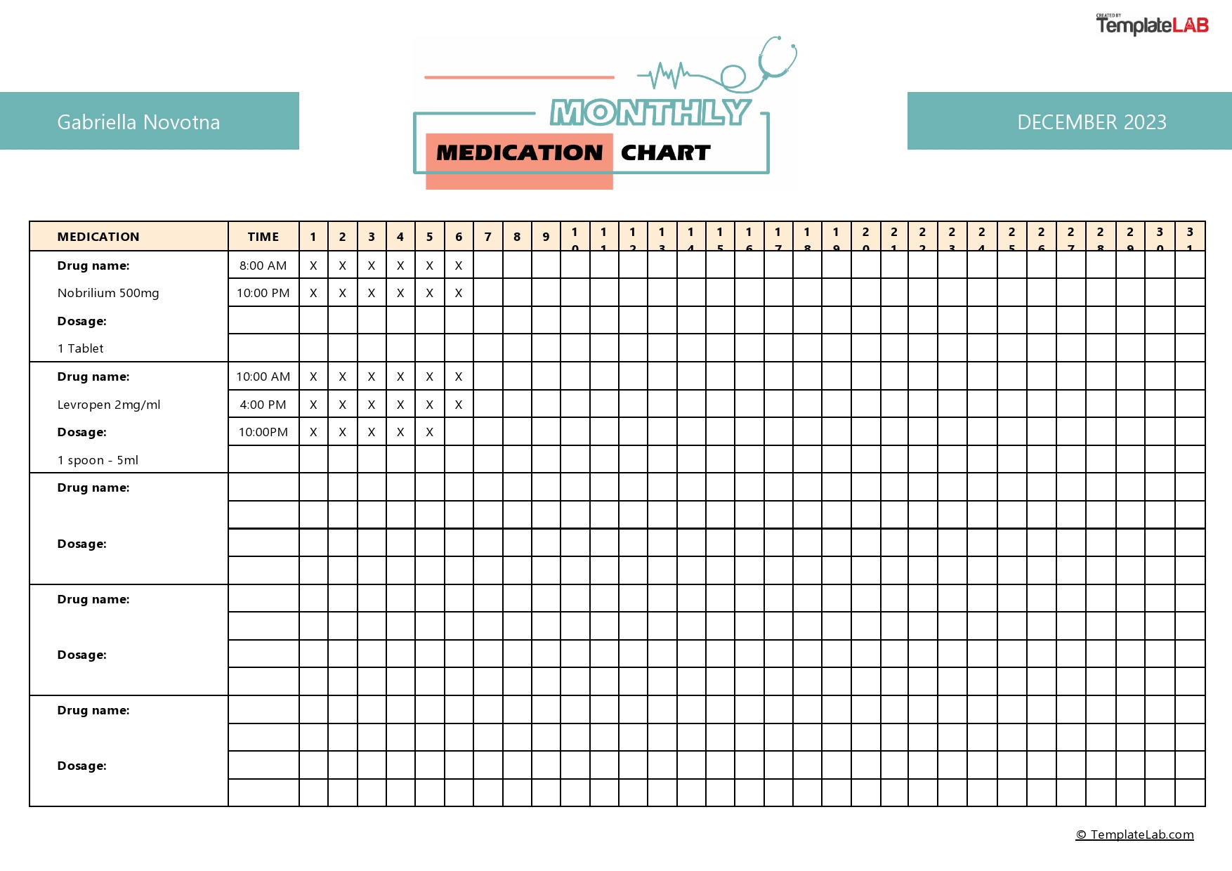 40 Great Medication Schedule Templates (+Medication Calendars) with Free Printable Medication Schedule