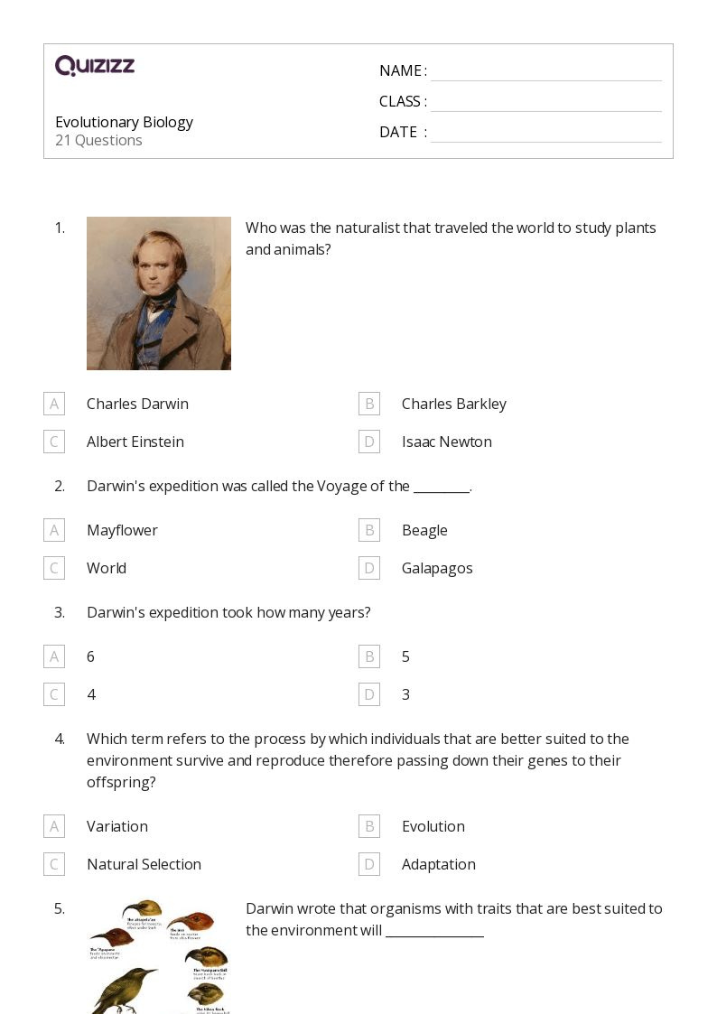 50+ Biology Worksheets On Quizizz | Free &amp;amp;Amp; Printable pertaining to Free Printable Biology Worksheets For High School