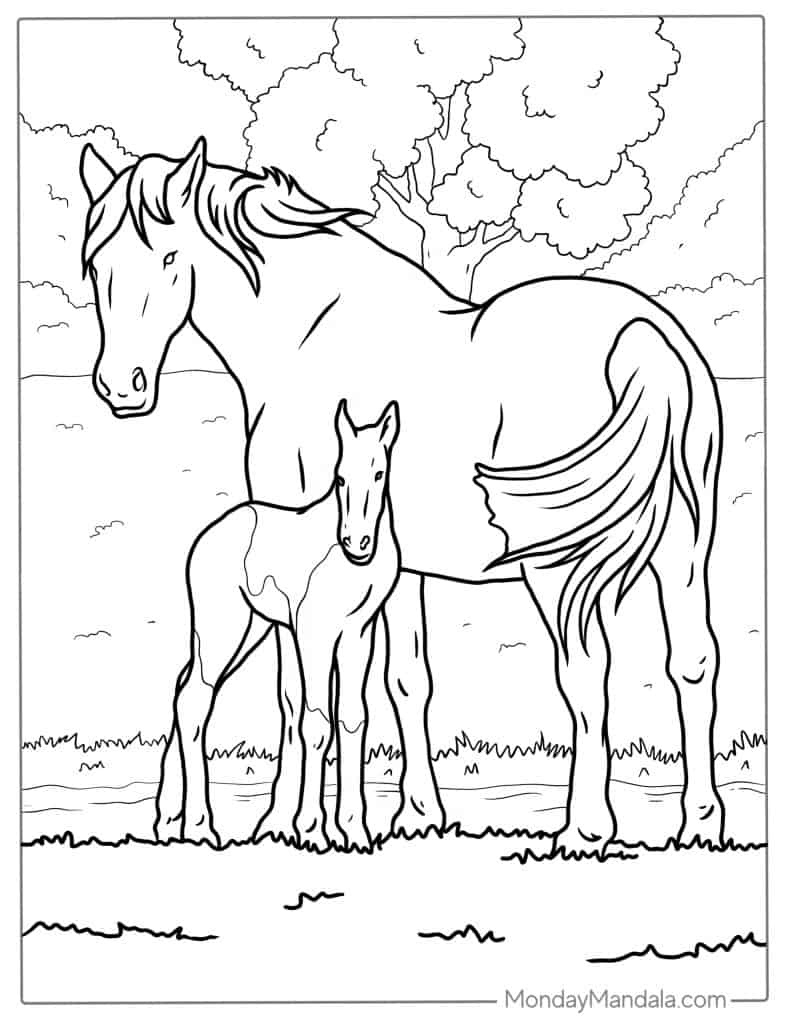 50 Horse Coloring Pages: Free Printable Sheets - Worksheets Library regarding Free Printable Horse Coloring Pages