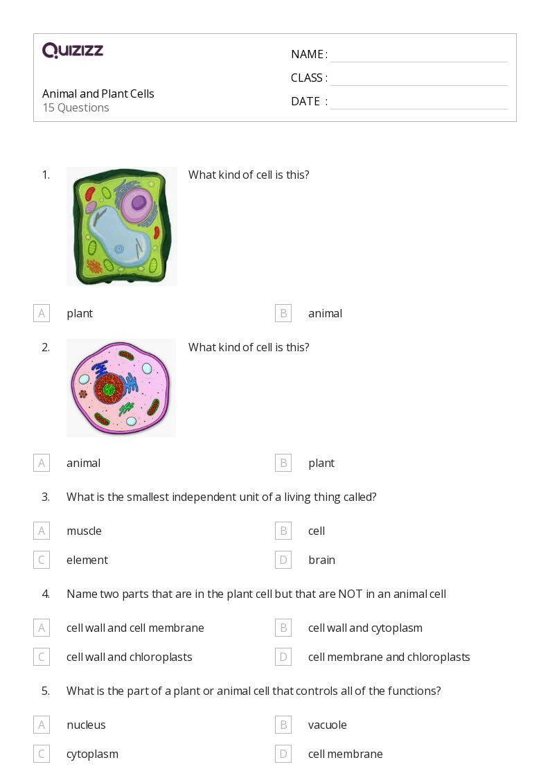 50+ Plant And Animal Cell Worksheets On Quizizz | Free &amp;amp;Amp intended for Free Printable Cell Worksheets