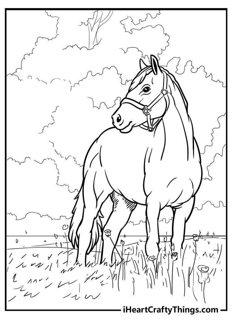 65 Horse Coloring Pages (100% Free Printables) - Worksheets Library for Free Printable Horse Coloring Pages