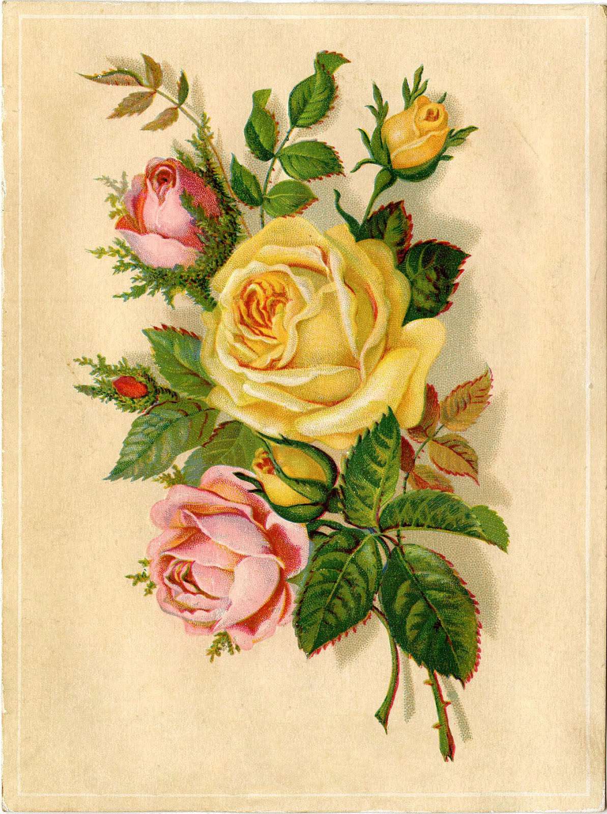 672 Vintage Flower Images! - The Graphics Fairy throughout Free Printable Decoupage Flowers