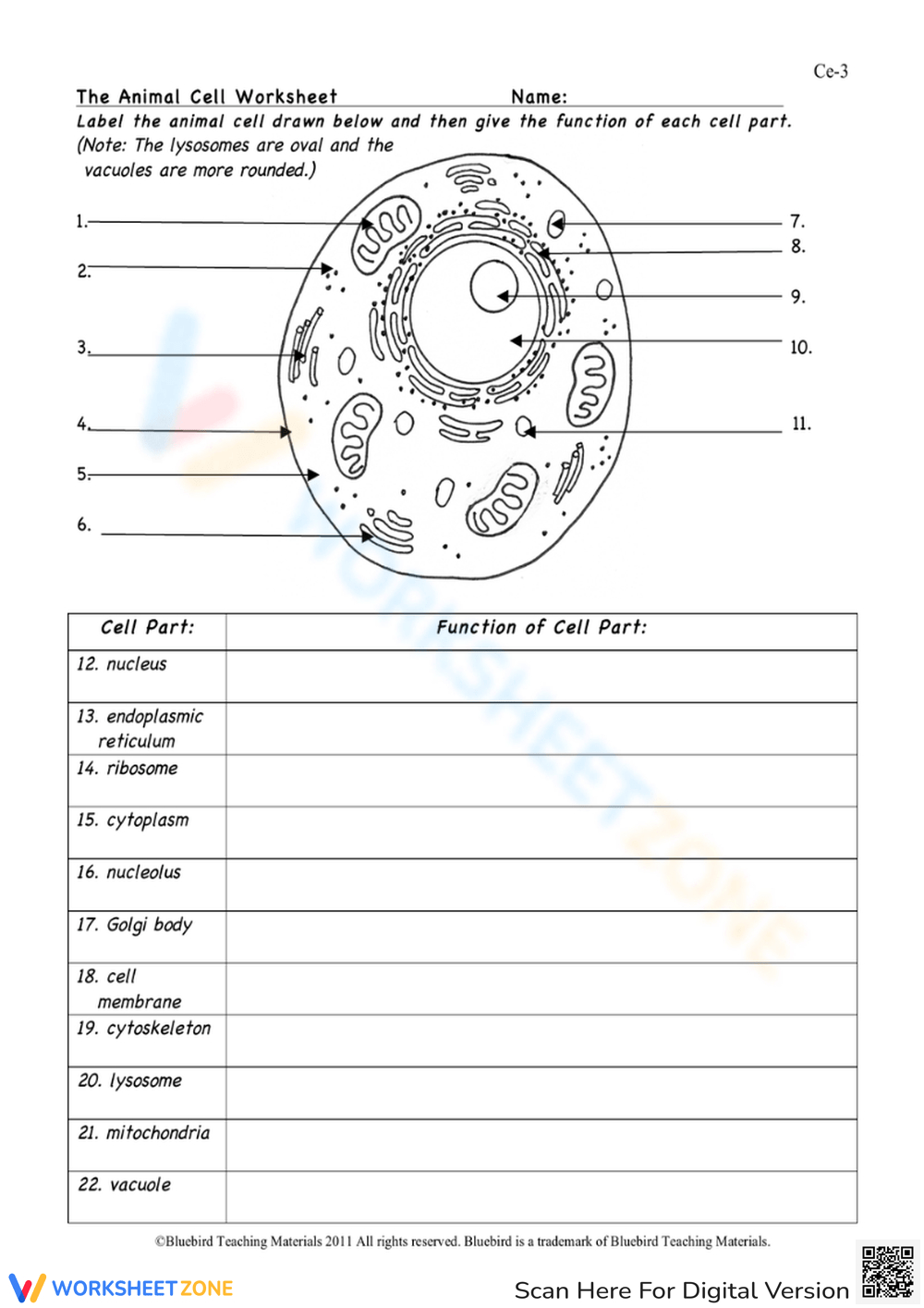 Animal Cell Worksheets &amp;amp; Printable with Free Printable Cell Worksheets