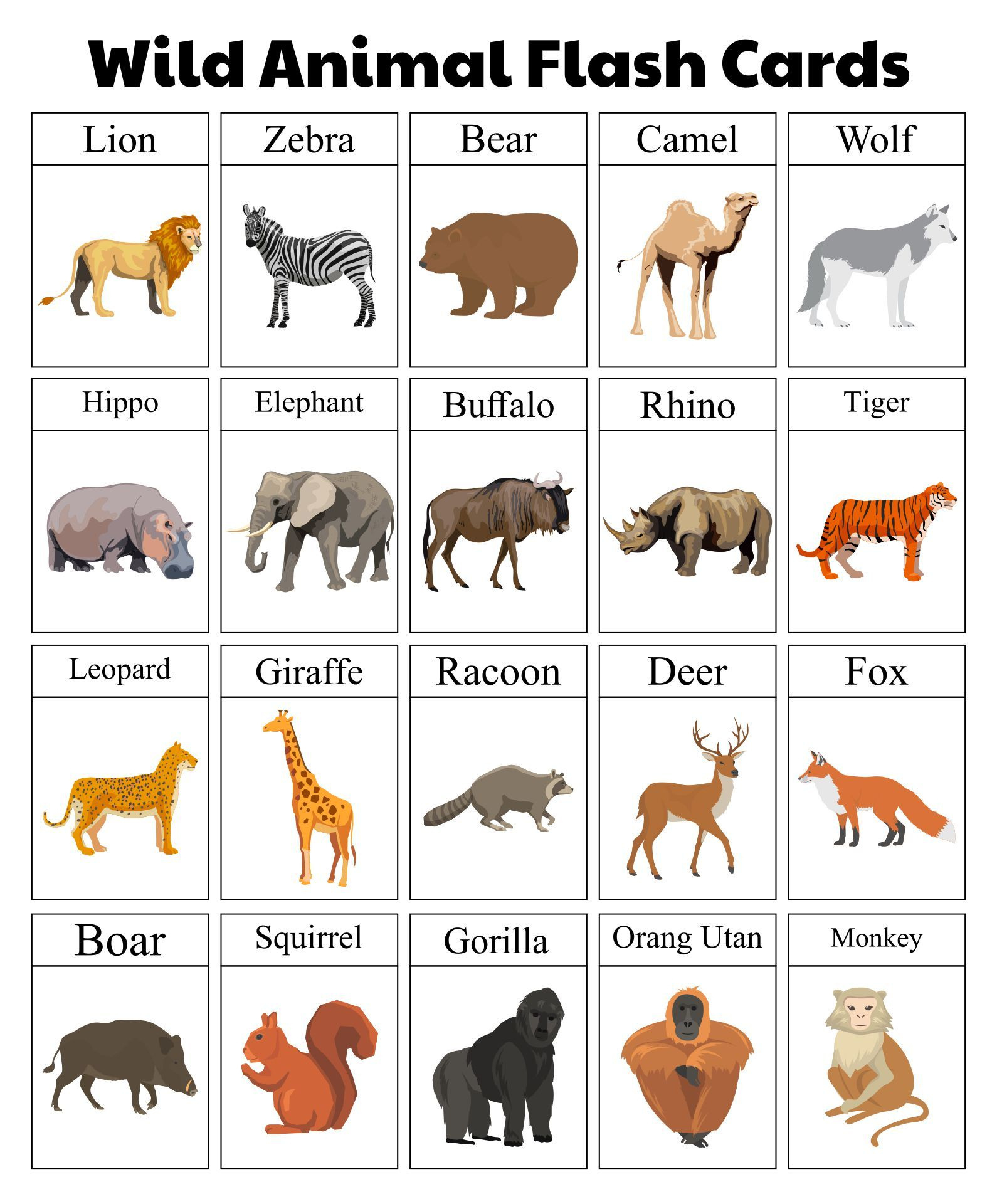 Animal Flash Cards - 10 Free Pdf Printables | Printablee for Free Printable Animal Cards