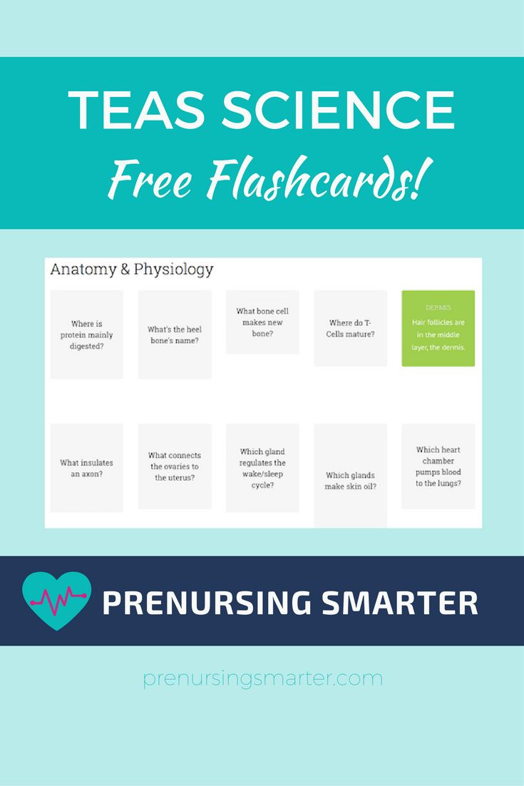 Ati Teas Flashcards - Prenursing Smarter [2024 Update] with Free Printable Teas Study Guide