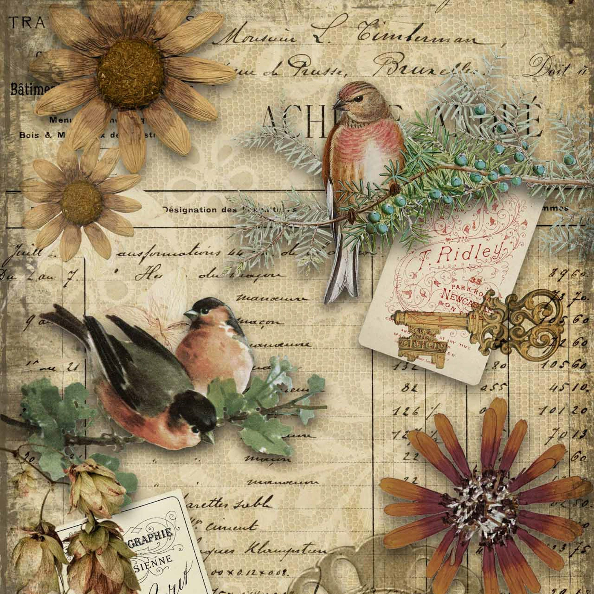 Autumn Birds - A0 Rice Decoupage Paper - Decoupage Queen | Maika in Free Decoupage Printables