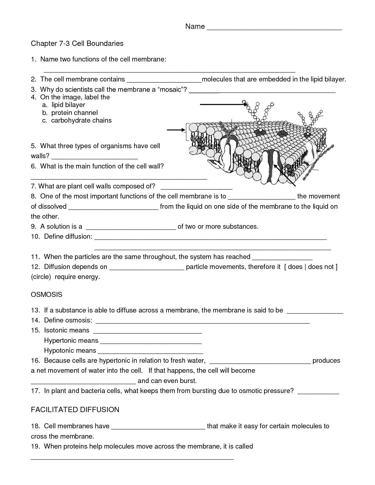 Biology Cell Worksheets - Worksheets Library for Free Printable Biology Worksheets For High School