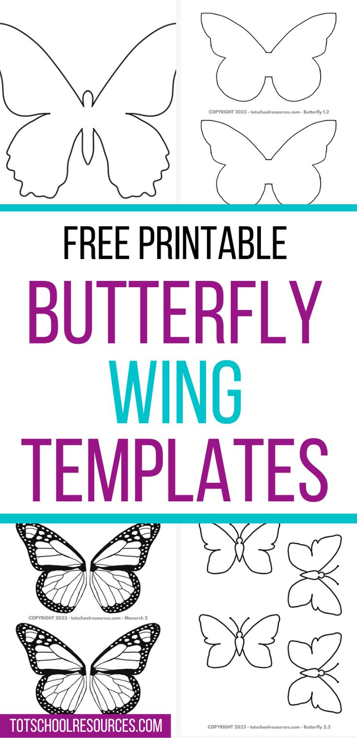 Butterfly Wing Templates inside Free Printable Butterfly Wings