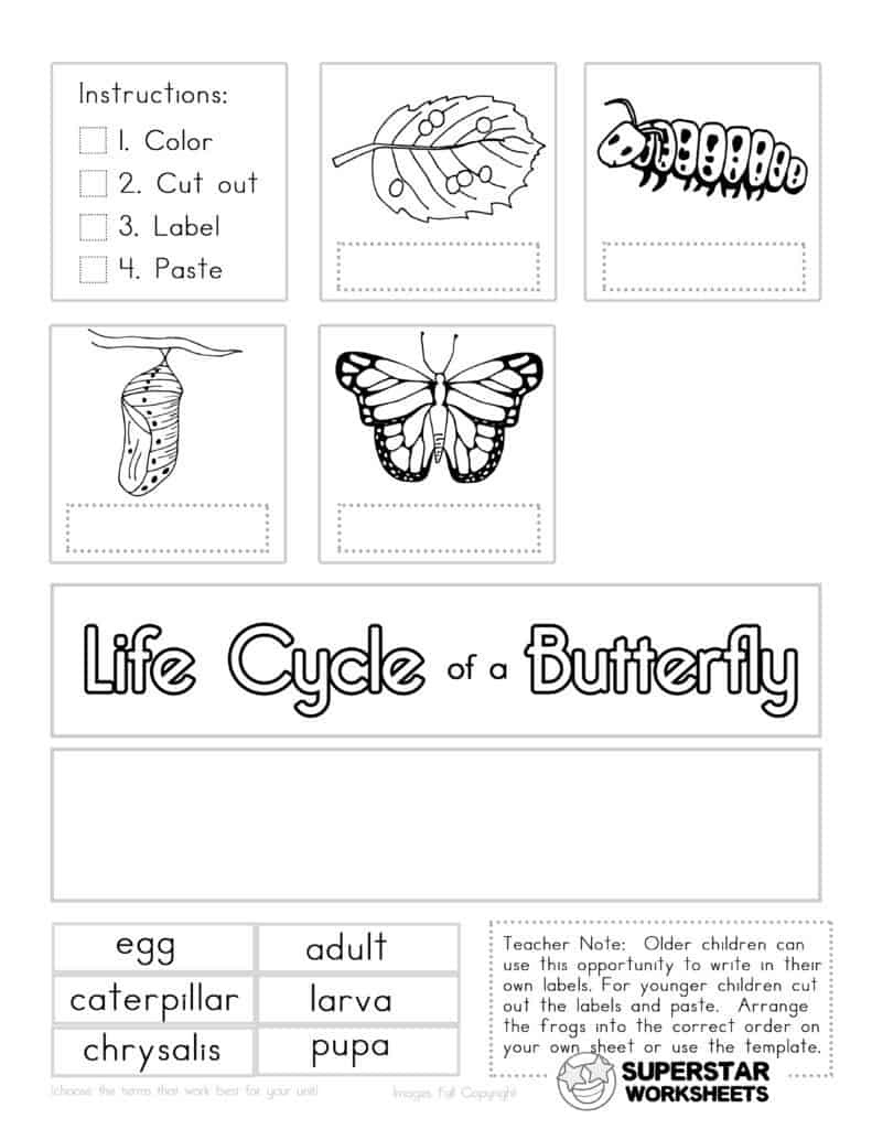 Butterfly Worksheets - Superstar Worksheets throughout Free Printable Butterfly Worksheets