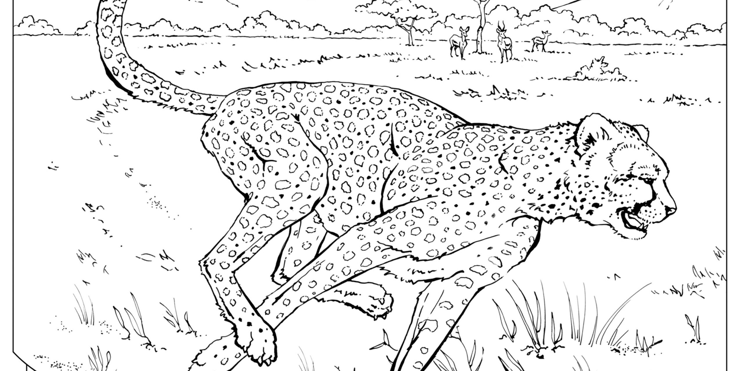 Coloring Book: Animals (A To I) | National Geographic Kids regarding Free Printable Realistic Animal Coloring Pages