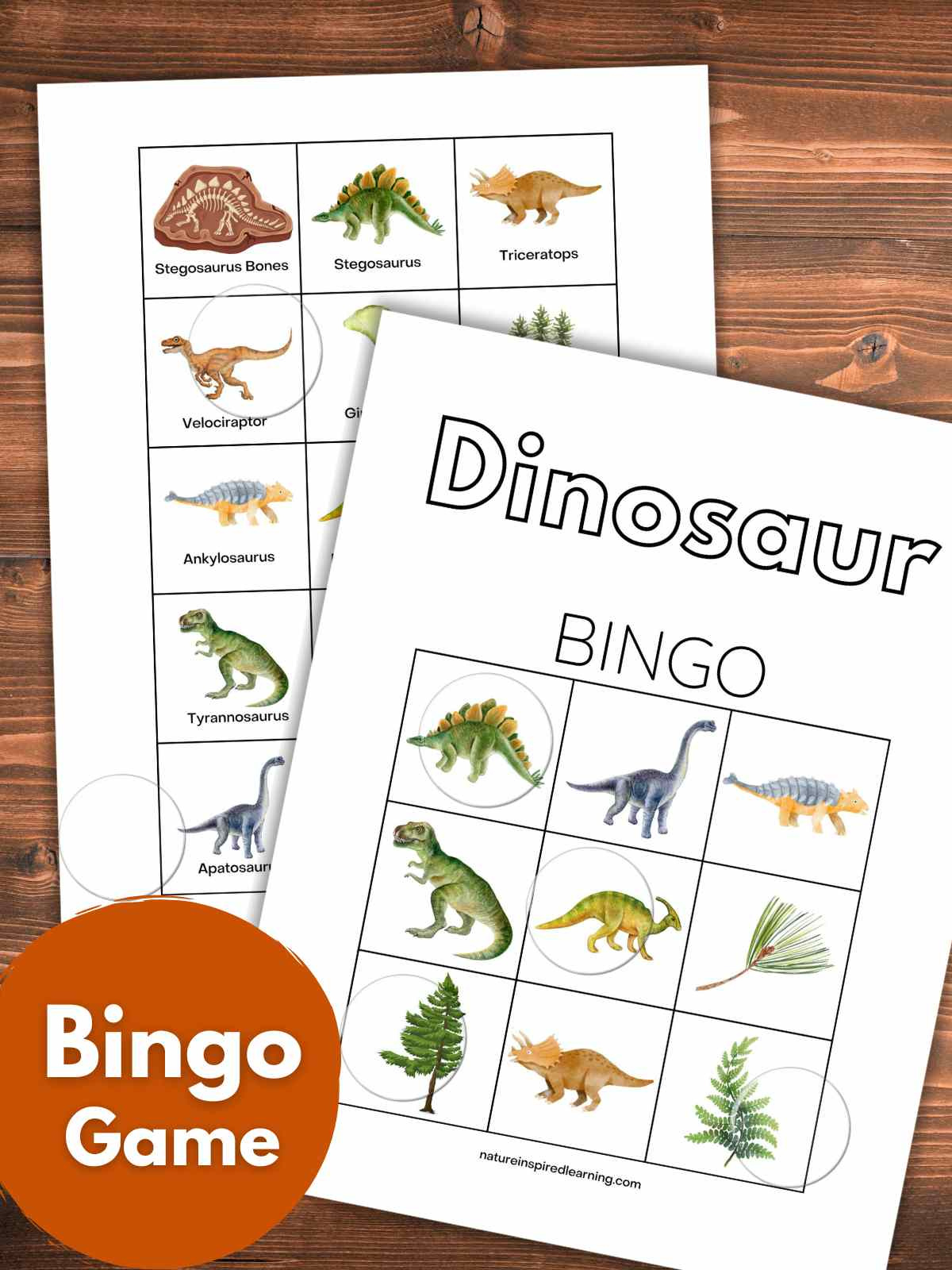 Dinosaur Bingo Game - Nature Inspired Learning with Dinosaur Bingo Printable Free