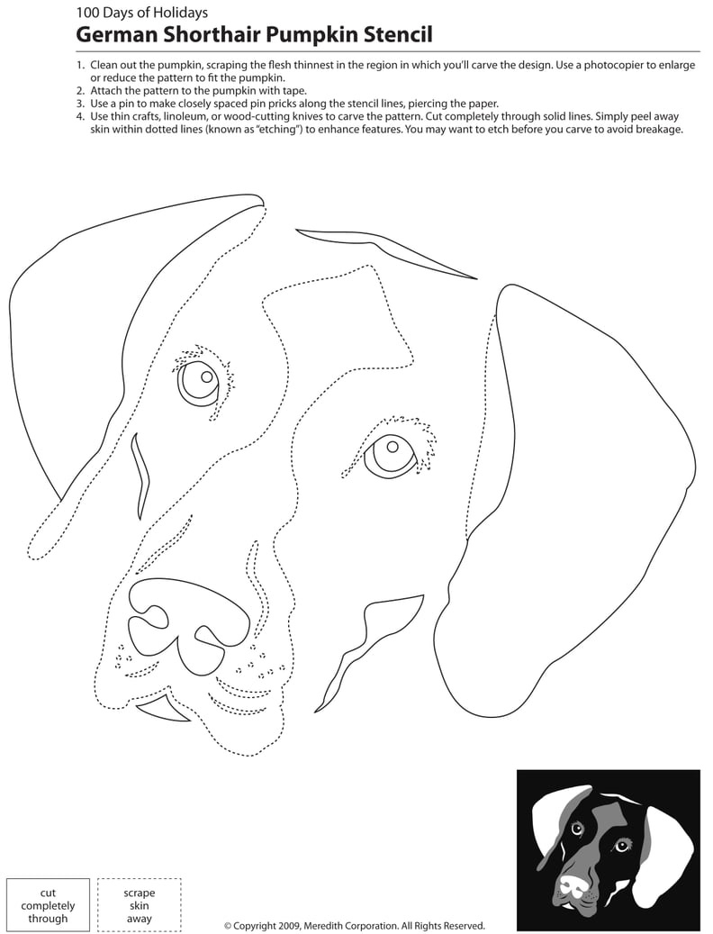 Downloadable Dog Breed Pumpkin Stencils | Ps Pets for Free Printable Pumpkin Carving Templates Dog