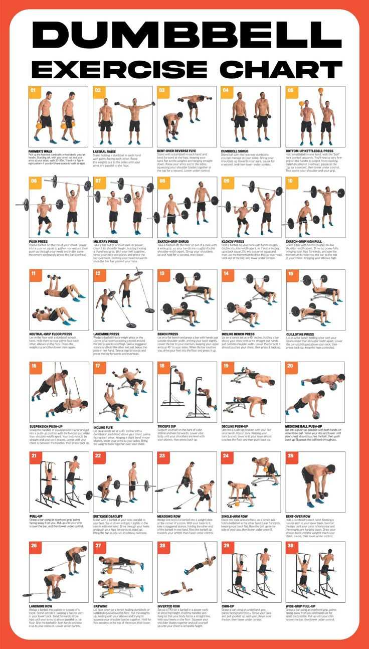 Dumbbell Workout Poster - 10 Free Pdf Printables | Printablee throughout Free Printable Gym Workout Routines