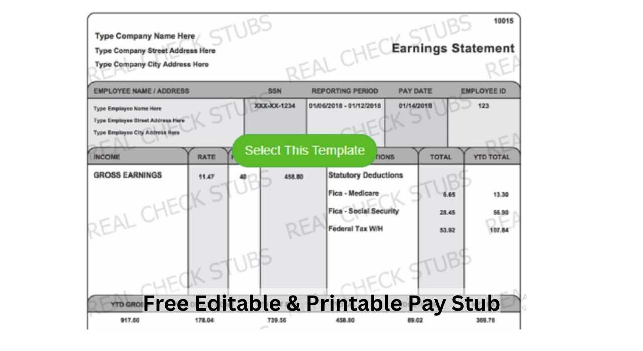 Editable Pay Stub Templates | Customizable Check Stubs | Download in Free Printable Check Stubs Download