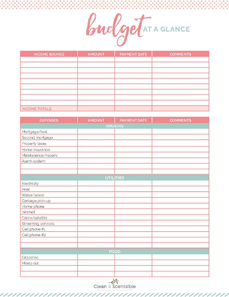 Family Binder Budgeting Printables - Clean And Scentsible for Free Printable Financial Binder