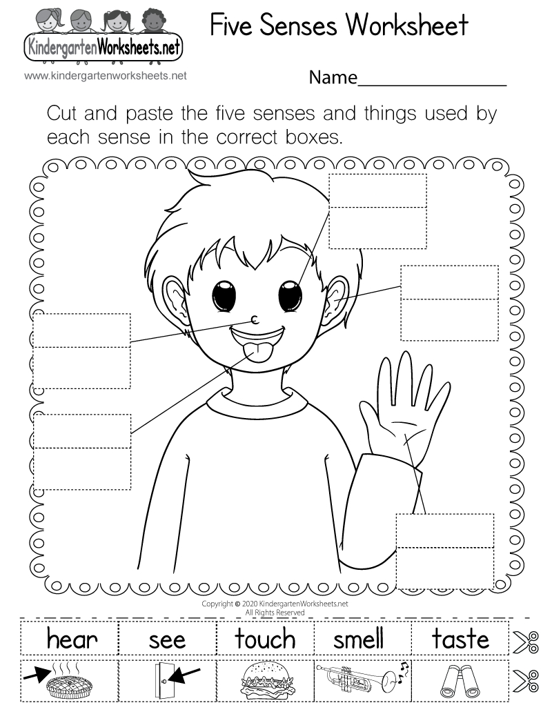 Five Senses Worksheet - Free Printable, Digital, & Pdf throughout Free Printable Worksheets Kindergarten Five Senses