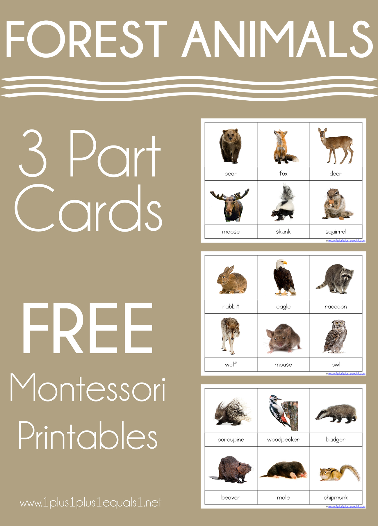Forest Animals Montessori Printables – Free 3 Part Cards - 1+1+1=1 in Free Montessori Printables
