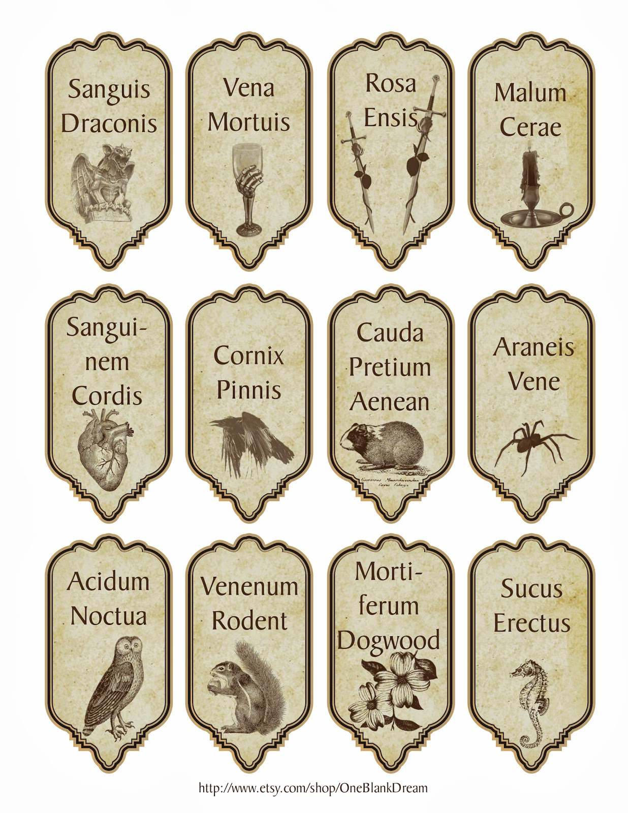 Free 15 Latin Halloween Magic Apothecary Bottle Jar Labels Instant within Free Printable Apothecary Jar Labels