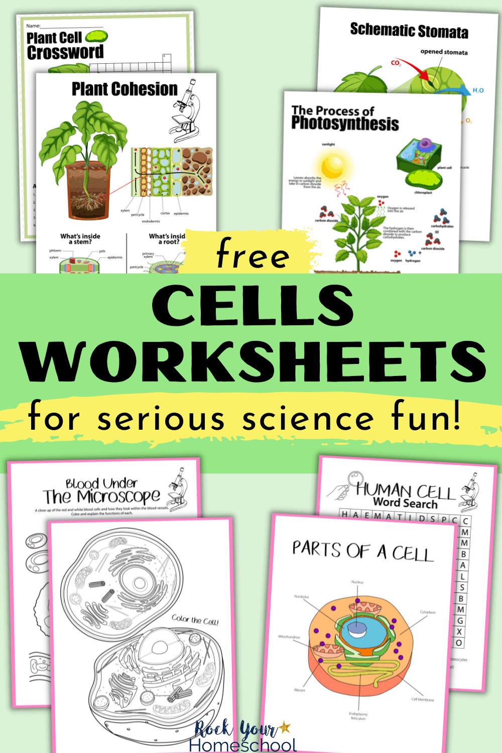 Free Cells Worksheets For Super Fun Science Activities For Kids with Free Printable Cell Worksheets