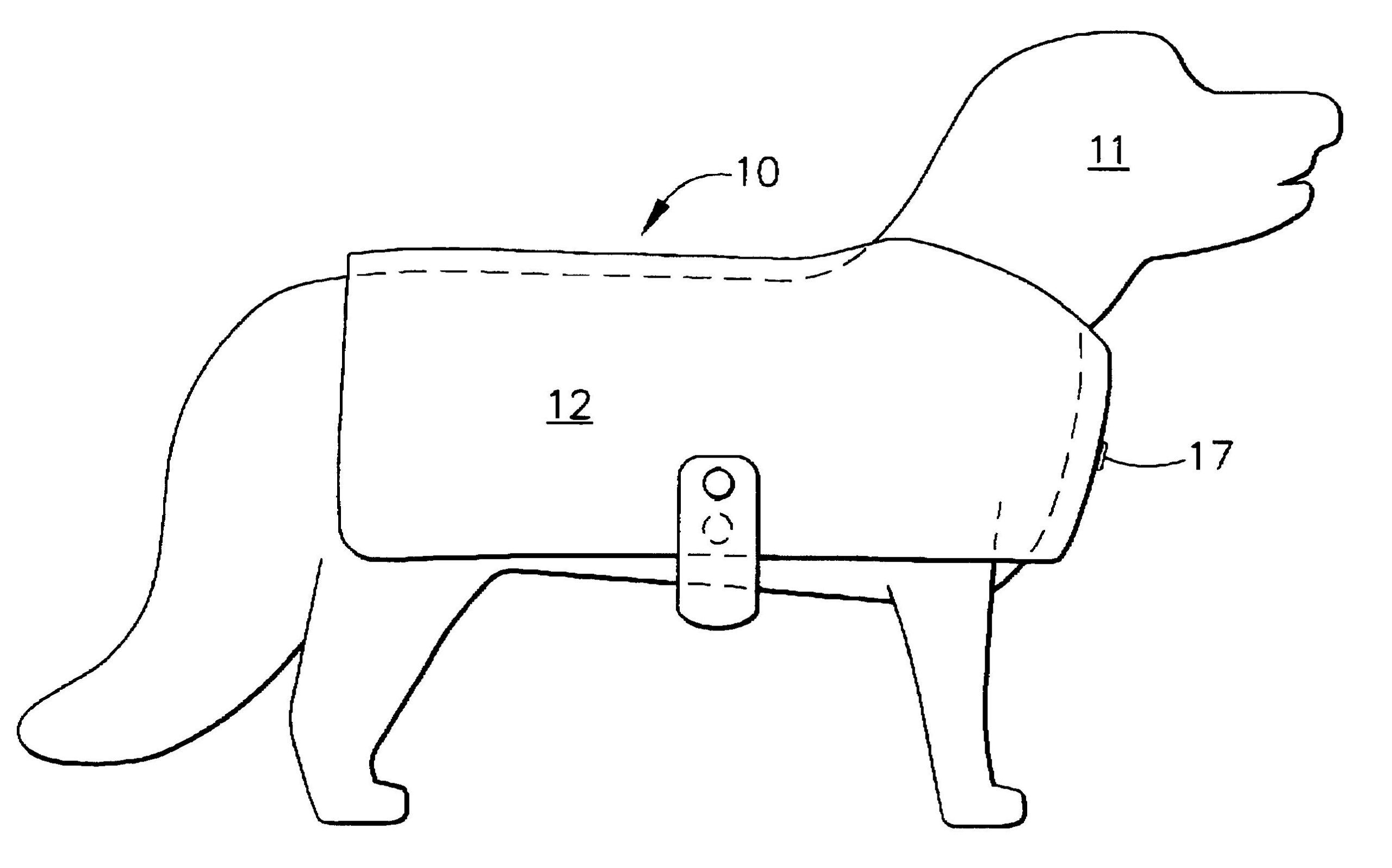 Free Dog Jacket Pattern Sewing regarding Dog Coat Sewing Patterns Free Printable