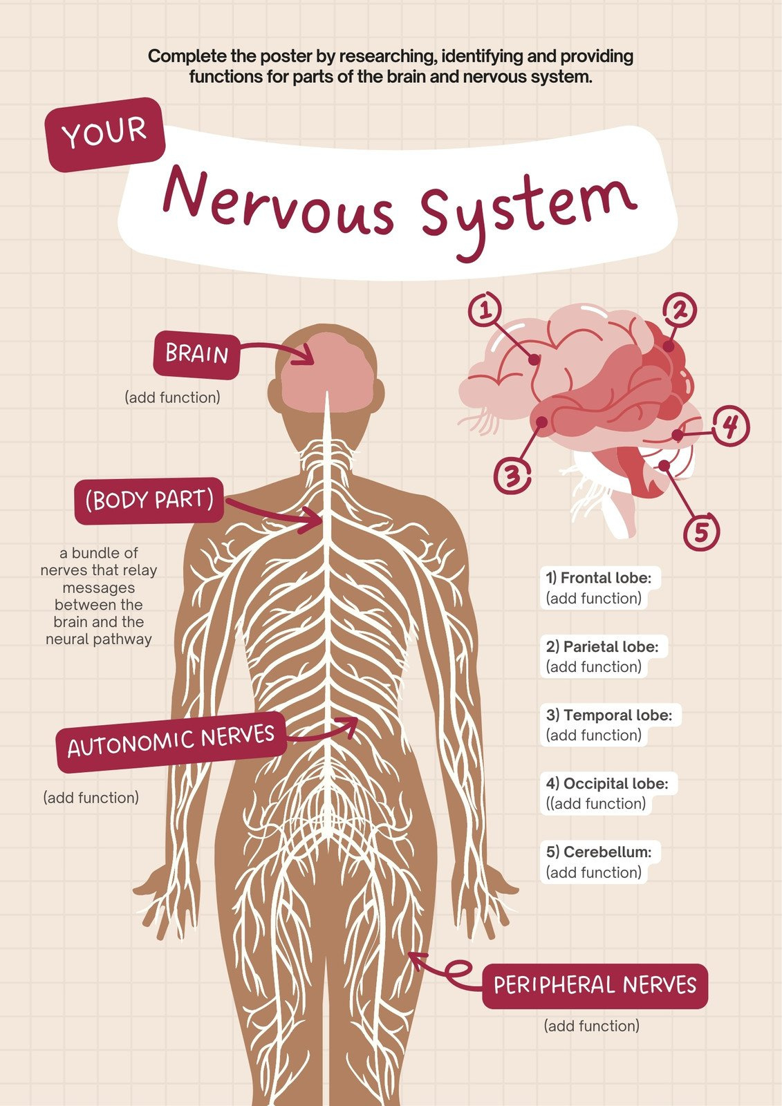 Free Editable Printable Anatomy Poster Templates | Canva within Free Printable Anatomy Pictures