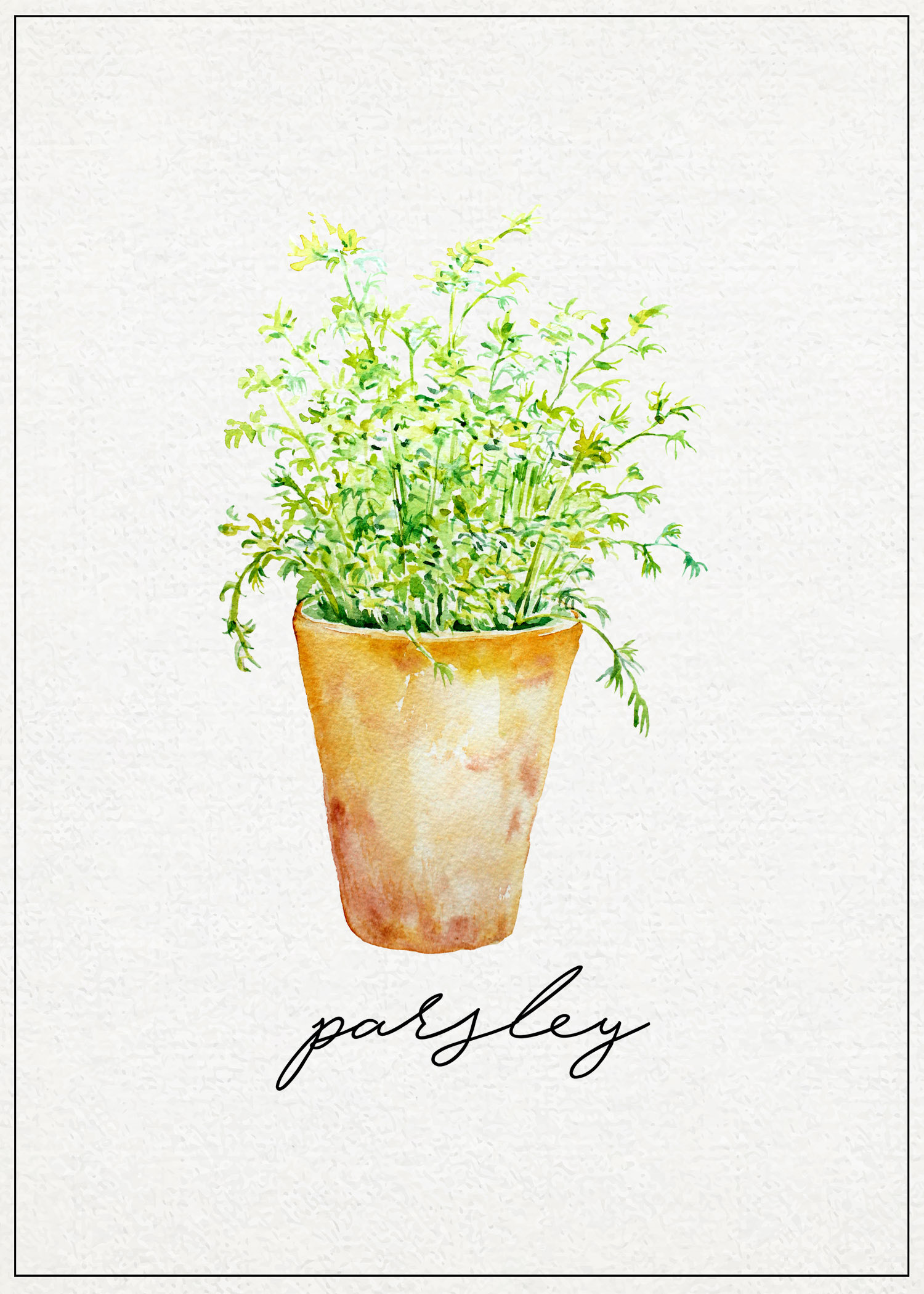 Free Kitchen Herb Wall Art Printables | The Cottage Market with regard to Free Printable Pictures Of Herbs