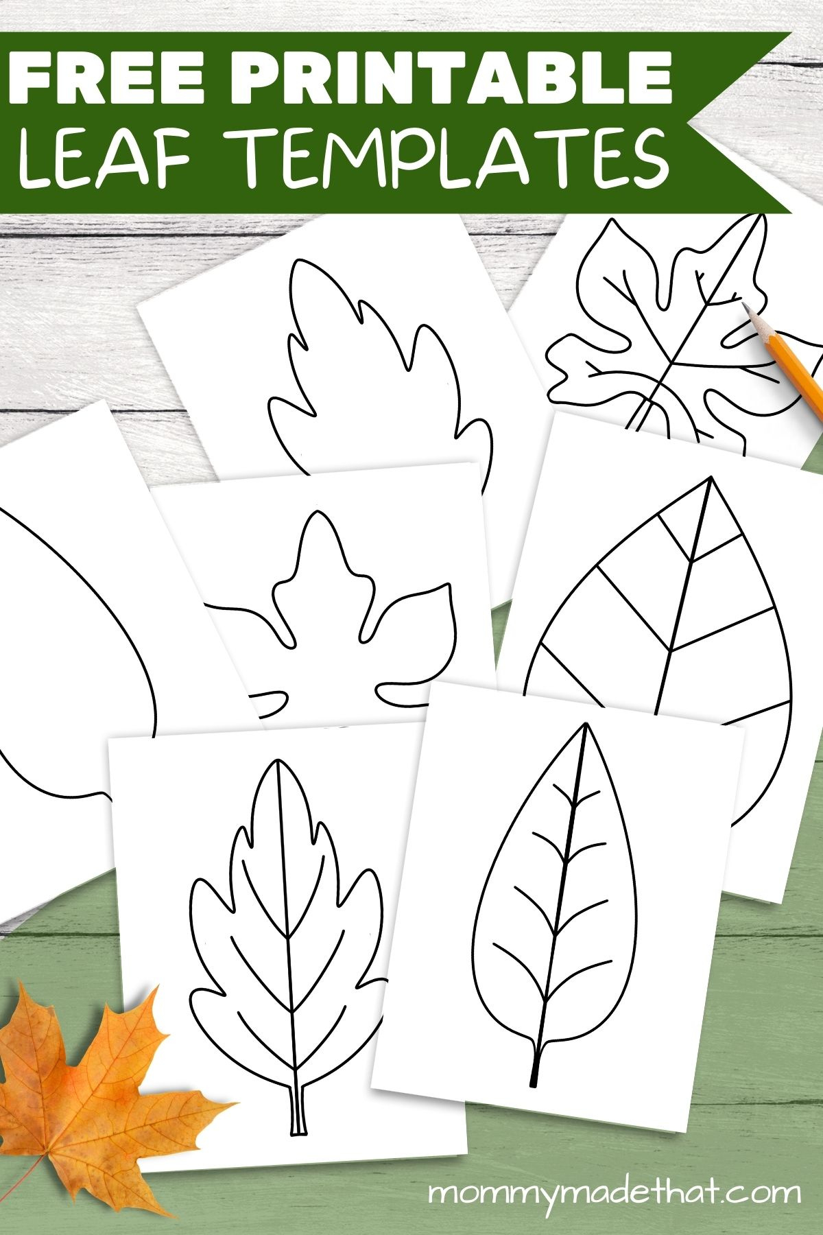 Free Leaf Templates &amp;amp; Outlines: Tons Of Printables!! regarding Free Printable Leaf Template