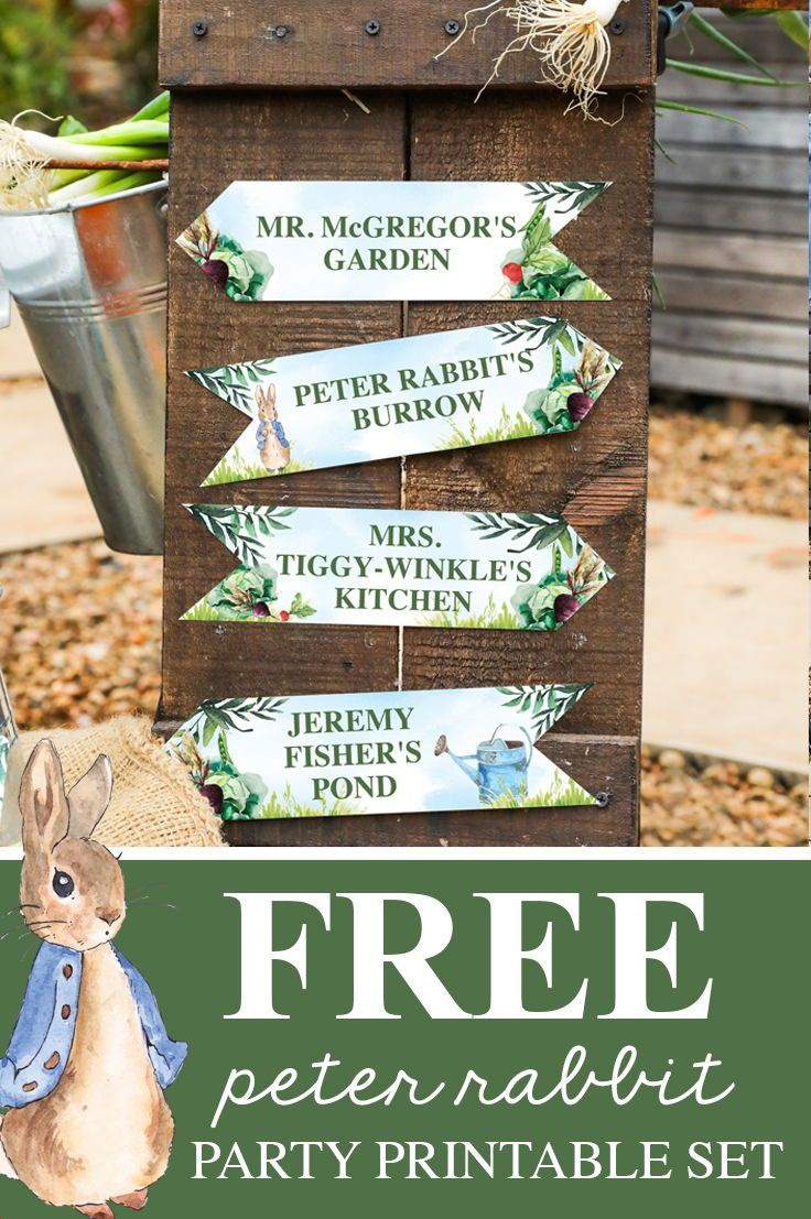 Free Peter Rabbit Party Invitation And Peter Rabbit Party Decor pertaining to Free Peter Rabbit Party Printables