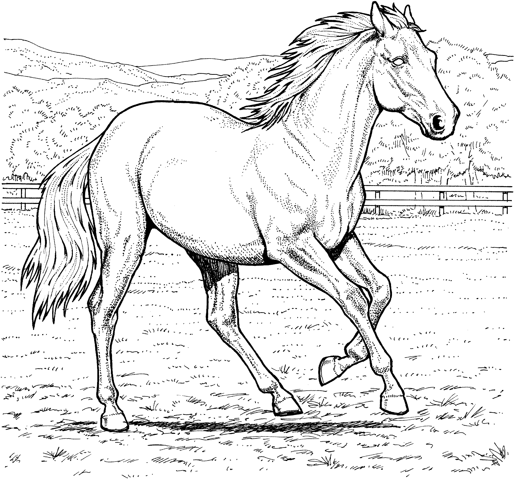 Free Printable Coloring Pages Of Horses intended for Free Horse Printables