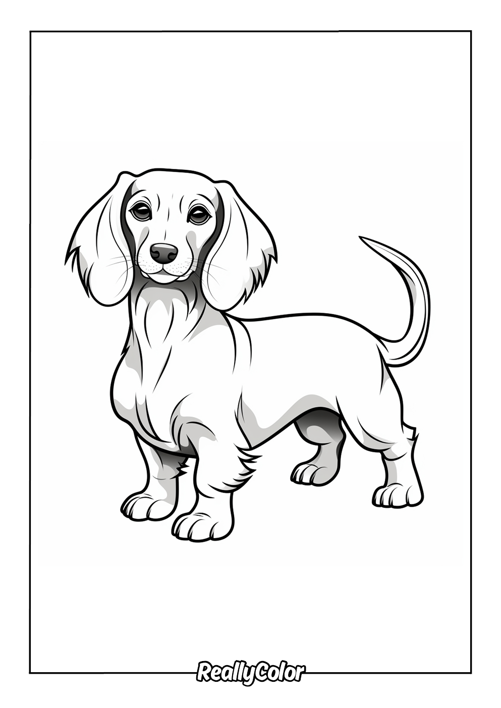 Free Printable Dachshund Coloring Pages intended for Free Printable Dachshund Coloring Pages