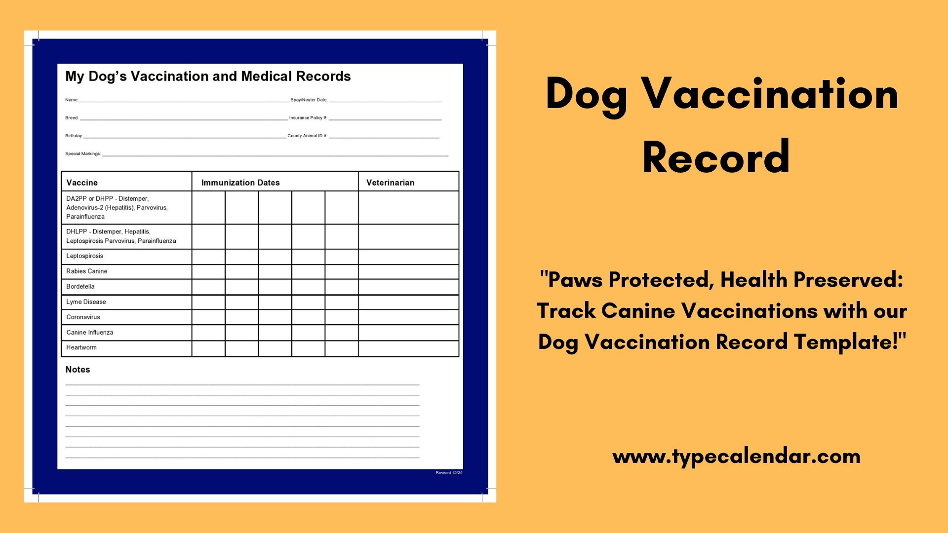 Free Printable Dog Vaccination Record Template: Keep Your Pet&amp;#039;S inside Free Printable Dog Shot Records