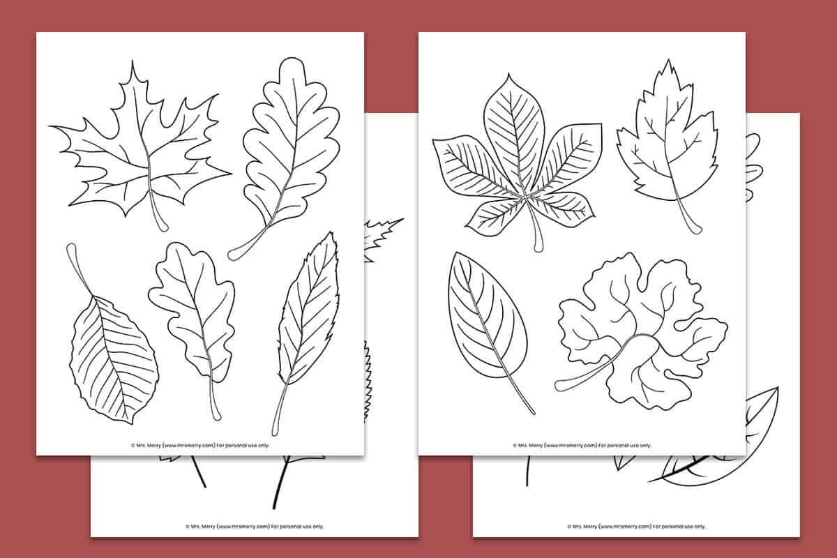 Free Printable Fall Leaves Coloring Pages | Mrs. Merry inside Free Printable Fall Leaves Coloring Pages