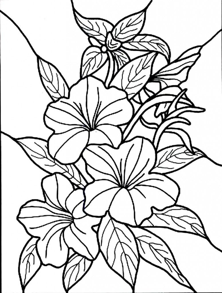 Free Printable Hibiscus Coloring Pages For Kids intended for Free Printable Hibiscus Coloring Pages