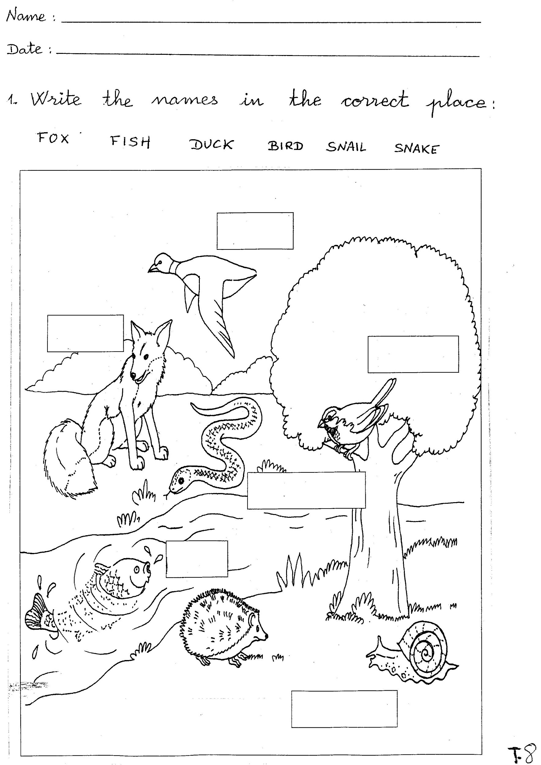 Free Printable Kindergarten Science Worksheets - Worksheets Library intended for Free Printable Science Lessons